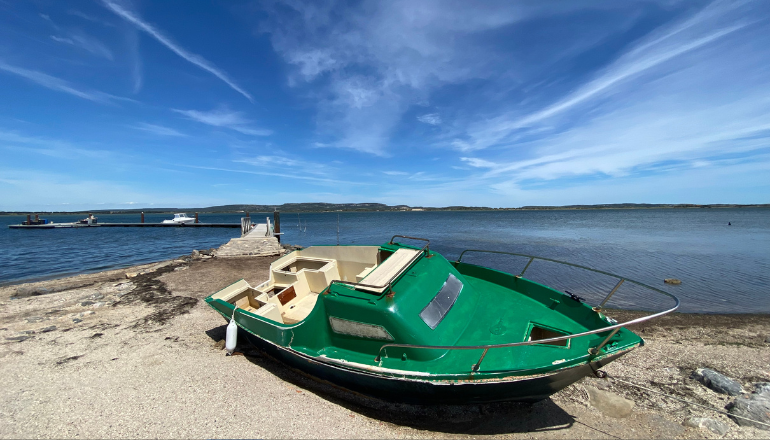 Bord de l'étang de Bages © Cyril Durand.