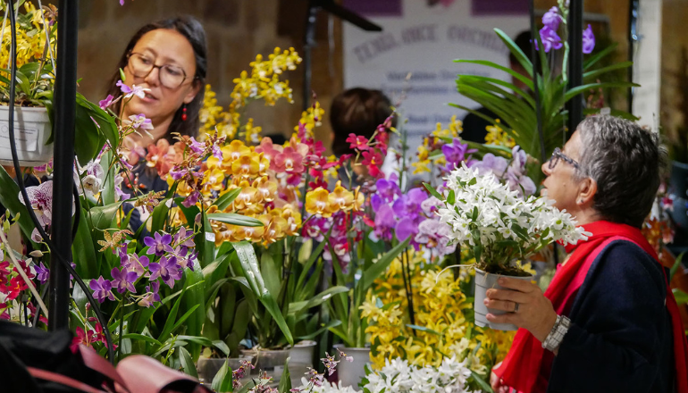 Festival des orchidées © Abbaye de Fontfroide.