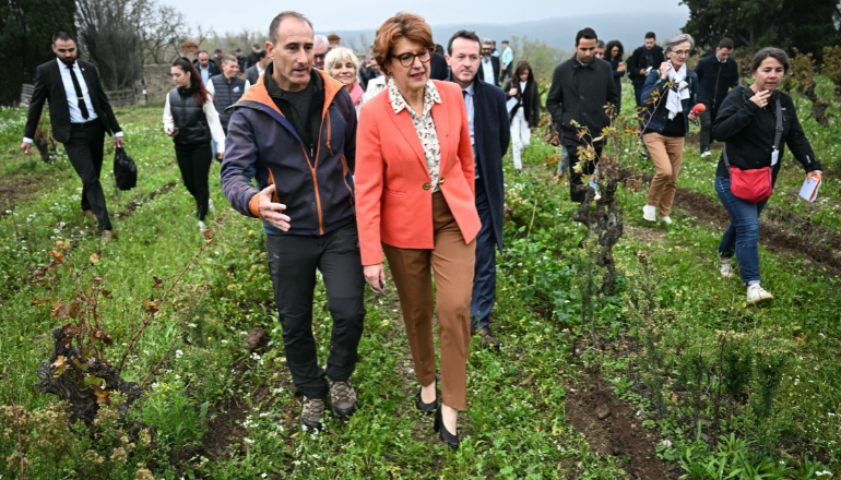 La ministre française de l'Agriculture, de la Souveraineté alimentaire et de la Forêt, Annie Genevard (au centre), s'entretient avec un vigneron pendant qu'elle travaille la vigne lors de son voyage de deux jours en Occitanie pour rencontrer des vignerons et des agriculteurs, le 5 novembre 2024 à Fabrezan, dans le sud-ouest de la France. (Photo de Lionel BONAVENTURE / AFP)